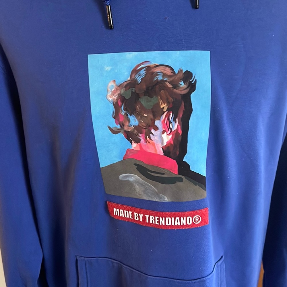 Trendiano mens blue hoodie